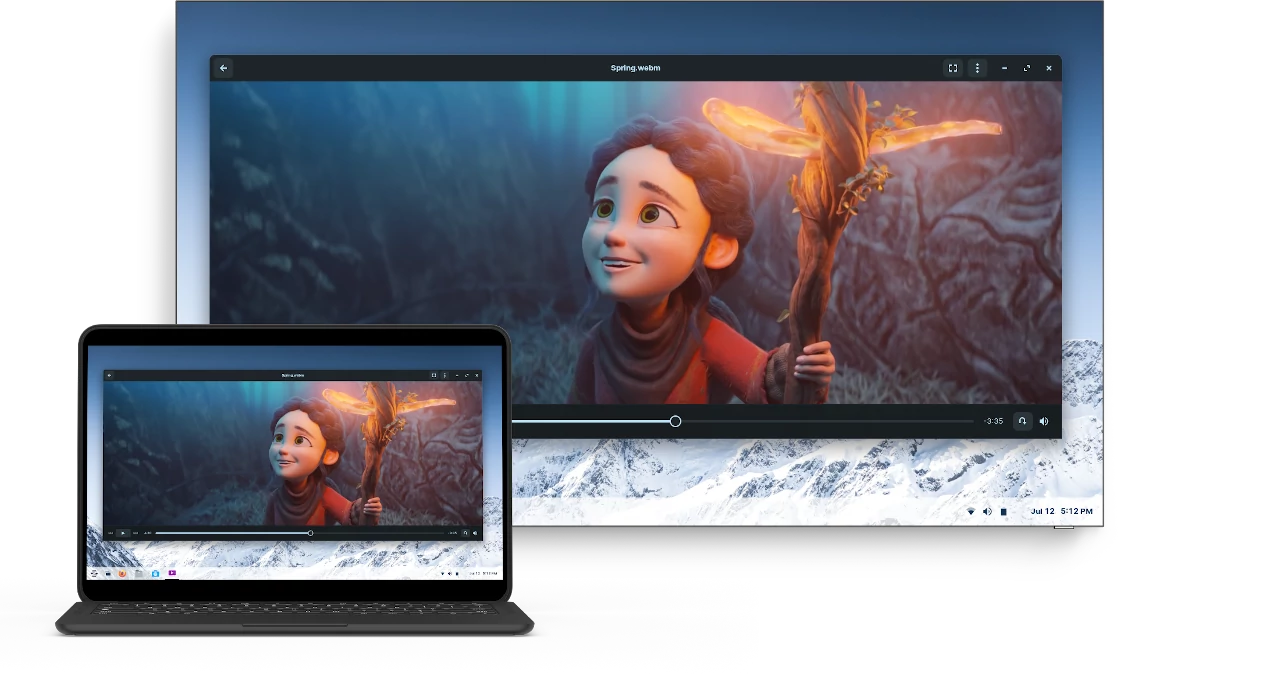 network displays image